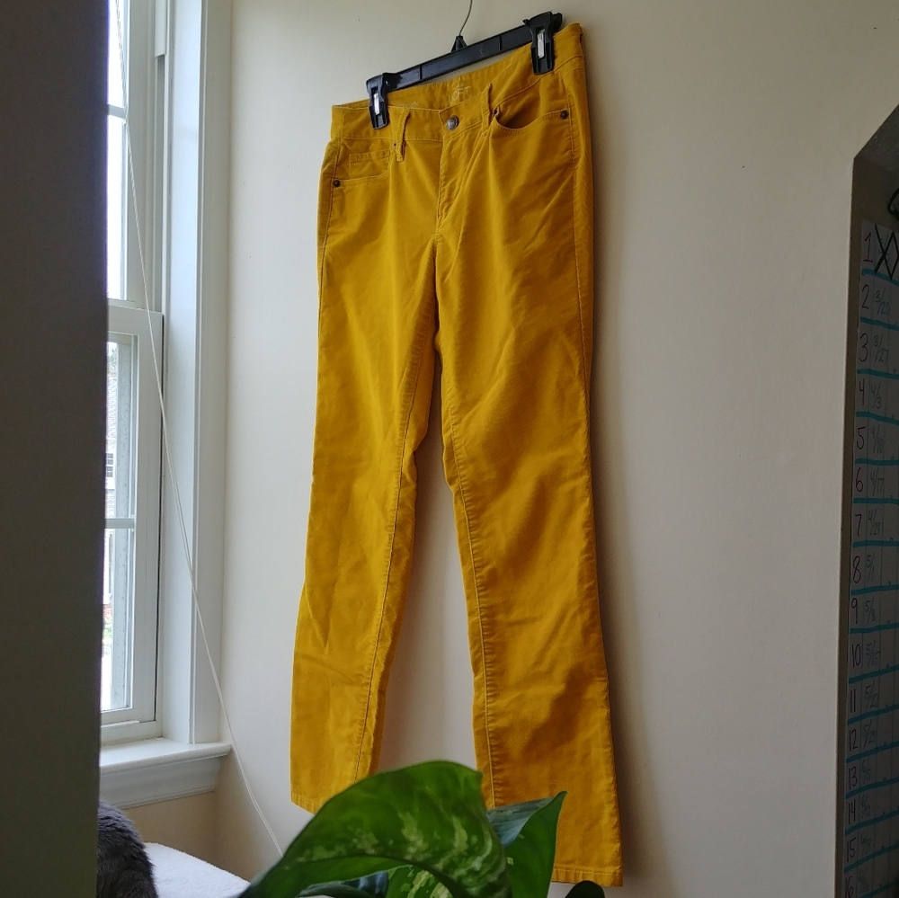 Ann Taylor Loft, 28/6P, Modern Straight, Yellow Corduroy Pants